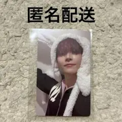 ニコラス　アニマルフォトカード　weverse