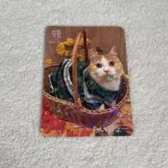 2026年最新】猫カフェmocha トレカの人気アイテム - メルカリ