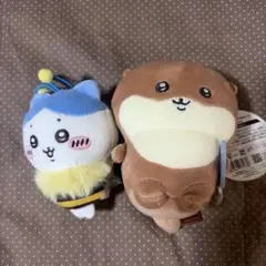 나가노의 수달 봉제 인형 쿠지 D상 하치와레 꿀벌