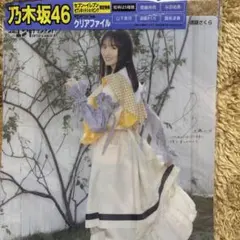 乃木坂46 クリアファイル 遠藤さくらA4サイズ