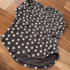 Item thumbnail for item 440e44ec-818c-46e3-a6fb-bd7533b468c0