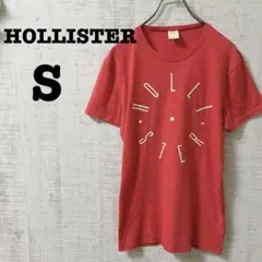 Hollister  ホリスター Tシャツ 【S】  ロゴ カットソー