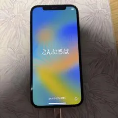 か*ん様 Apple iPhone 12 ブラック