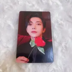 SEVENTEEN 2024 シーグリ ジョシュア