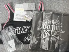 StrayKids dominate エコパ アプグレ 特典 6点セット