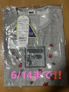 【新品タグ付】FILA フィラ レディース Tシャツ L グレー 紅葉柄のサムネイル