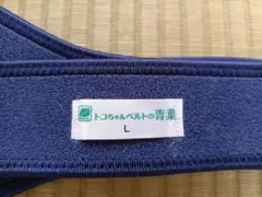 Item thumbnail for item 7397bece-05b9-4c07-adc3-07ff2489d88b