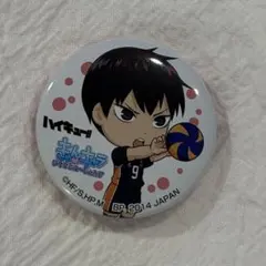 一番くじ ハイキュー!! ～烏野高校練習開始!!～ D賞 缶バッジ 影山飛雄