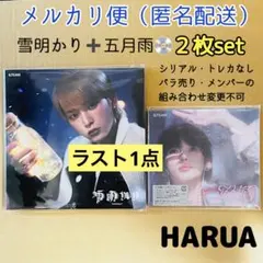 【未使用・2枚set】&TEAM 五月雨 雪明かり ソロジャケ HARUA