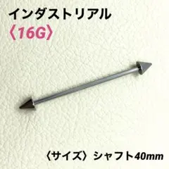 Item thumbnail for item e6332e51-c06a-4265-be55-38e4449231f3