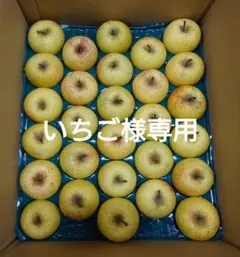 【いちご様専用】