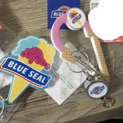 【新品未使用】BLUE SEAL アイスカラビナ キーホルダー　しまむらのサムネイル