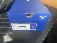 【値下げ中】mizuno ユニセックス スニーカー