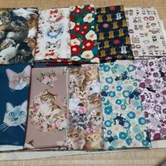 猫生地　縦50cm横25cm 10枚セット　柄変更不可