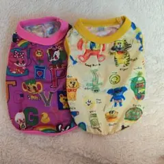 Item thumbnail for item e0948604-b31b-4540-aa64-506b80a02ca8