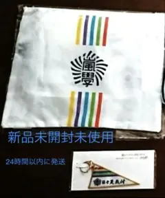 新品】嵐のワクワク学校2019 ペナントキーホルダー ピンバッジ 2点