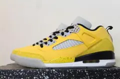 中古美品 NIKE JORDAN SPIZIKE LOW PRM T23