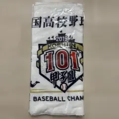 Item thumbnail for item b9225387-0786-43fb-aaf4-26fd4f63a58e