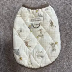 Item thumbnail for item e873a650-bb9a-47db-98fd-ec85efbce8e5