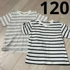 無印&西松屋♡ボーダーTシャツ2枚