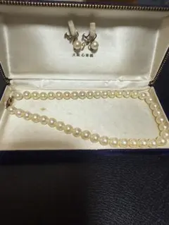 Item thumbnail for item 1042843f-e038-4e54-b717-a16da90f733f