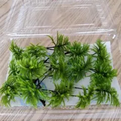 ミズキング様 リクエスト 4点 まとめ商品