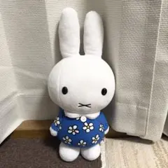 Item thumbnail for item 216f2740-1393-4da5-a797-0624d3b14233