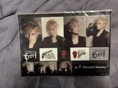 Acid Black Cherry Erect シールステッカー未開封☆