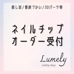 【オーダー受付ページ】ネイルチップ｜サイズオーダー可◎　推しネイル