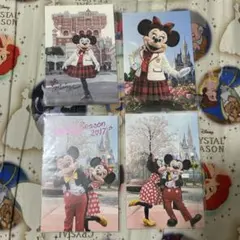 ミッキー　ミニー　ポストカード　セット　実写　キャンパスデー　春