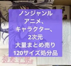 ノンジャンル大量まとめ売り 120サイズ処分品①