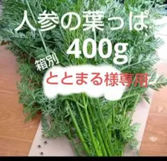 【ととまる様専用】