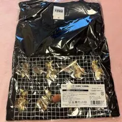 Item thumbnail for item c48f141e-7fbd-4e32-b423-c920674238dc