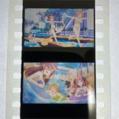 映画 五等分の花嫁  第6弾 入場者特典 コマフィルム　水着　変化あり