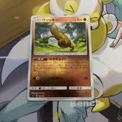 ウソッキー　ミラー　みちをふさぐ