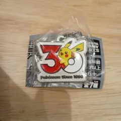 ポケモン 30周年 メタルチャーム ピカチュウ