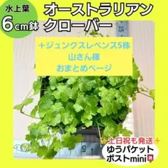 山さん様 リクエスト 2点 まとめ商品