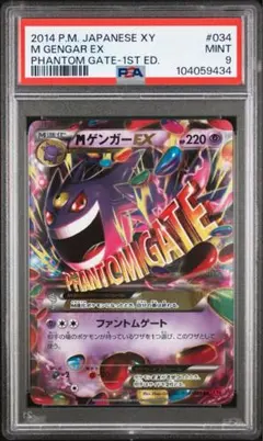 ゲンガー　rr psa10 PSA10鑑定済〕ゲンガーEX【RR】{033/088}