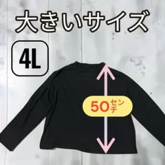 4Lサイズ 長袖トップス