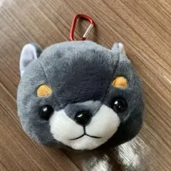 Item thumbnail for item 05ab654e-09bf-4a27-a7d9-a376d95dadf6