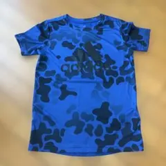 Item thumbnail for item d6913443-8a14-43ce-81b7-1de438a453a0