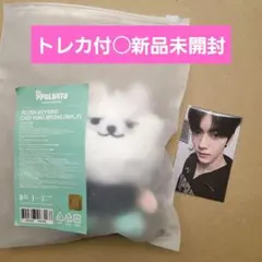 2025年最新】TOMOrrow x together ぬいぐるみの人気アイテム - メルカリ