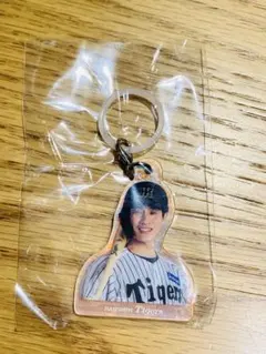阪神 めじるしオーロラチャーム 木浪聖也