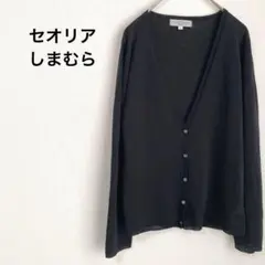 《しまむら》黒 シアーカーディガン Ｖネック 春夏 オフィス きれいめ Lのサムネイル