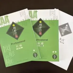 希少未記入❣️ 図形の極み　図形のきわみ　プロフェッショナル　1級　裁断済み 小2】玉井式「図形の極み」体験資料を請求、中学受験に向け解いた感想