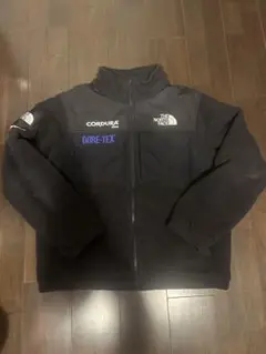 2025年最新】supreme the north face expedition jacketの人気