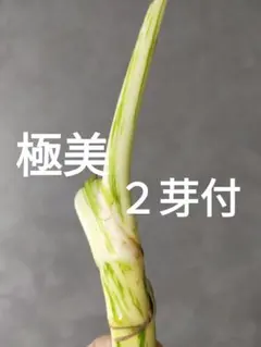 Happymam様 リクエスト 3点 まとめ商品