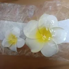 Item thumbnail for item aa485235-ee1a-44cb-867c-e47bed856cb4