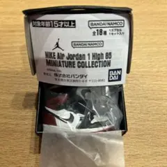 NIKE Air Jordan 1 ナイキ BLACK TOE ガチャ　⑧