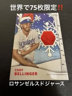 コーディー・ベリンジャー(メボラビリア)